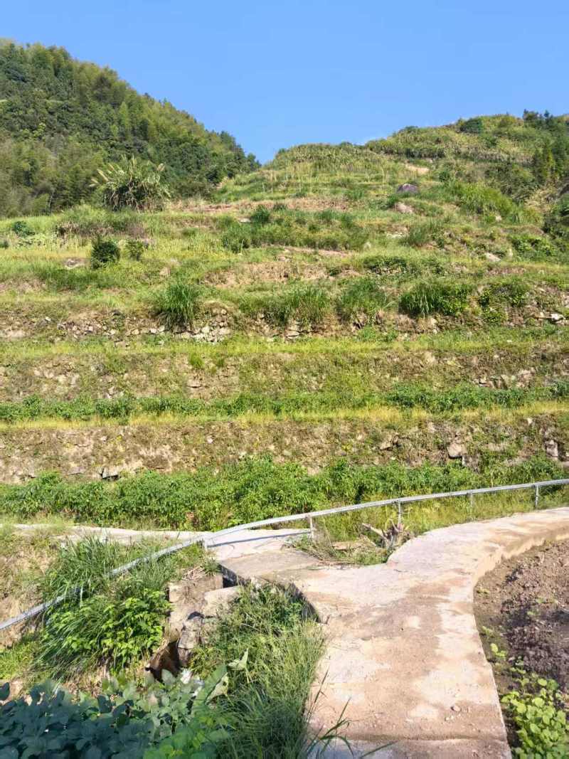 浙江开化高山农副产品