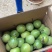 钦密9号黄金百香果