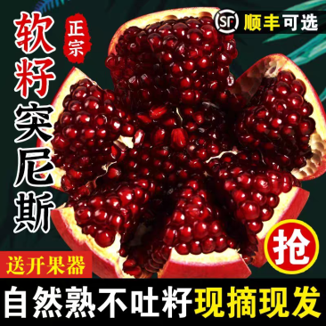 红石榴