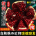 红石榴