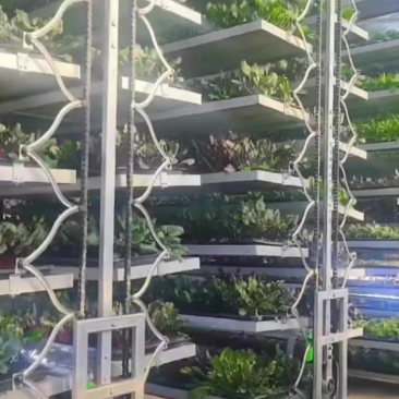 立体种植机，立体种植架，一件也是批发，也可来图来样定做，也可