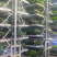 立体种植机，立体种植架，一件也是批发，也可来图来样定做，也可
