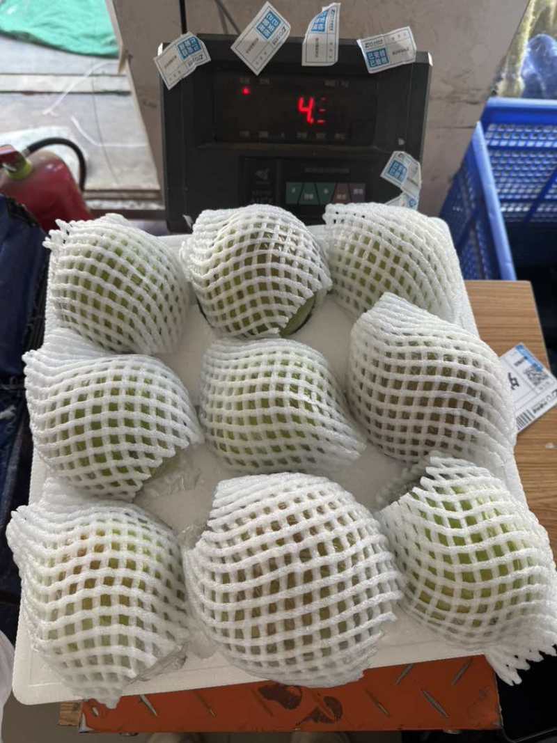 隰县玉露香梨