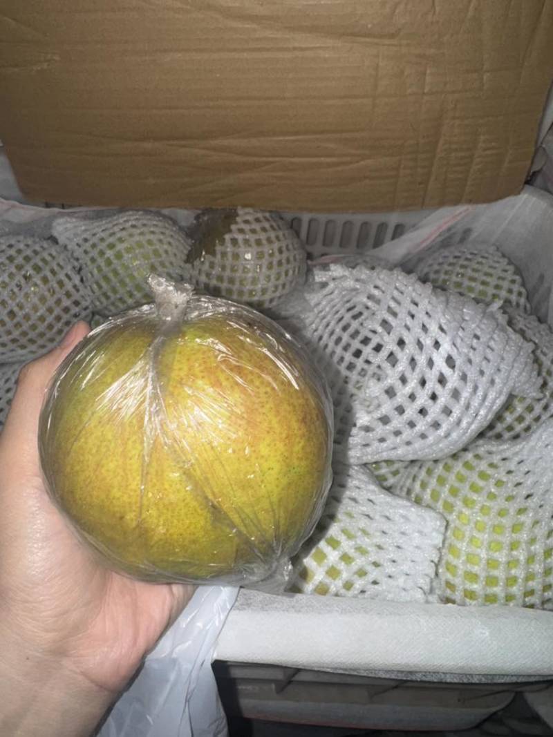 隰县玉露香梨