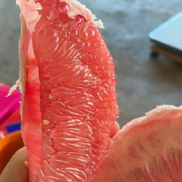 平和红心柚子
