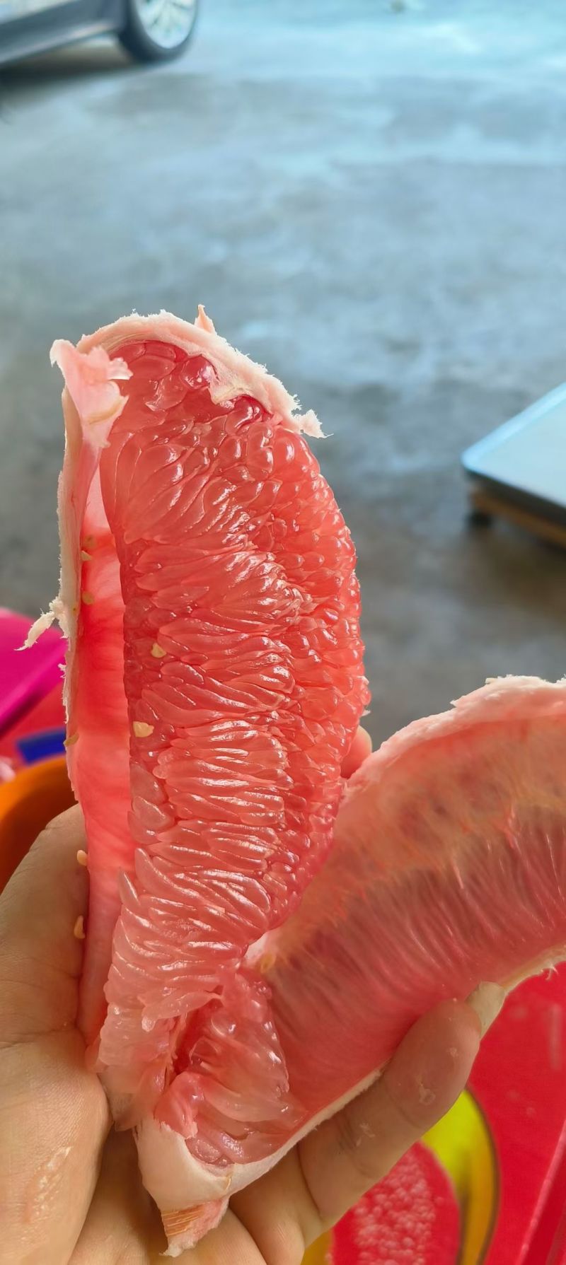 平和红心柚子