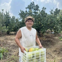 莆田仙游度尾文旦柚（下果，通果，精品果）果场直采