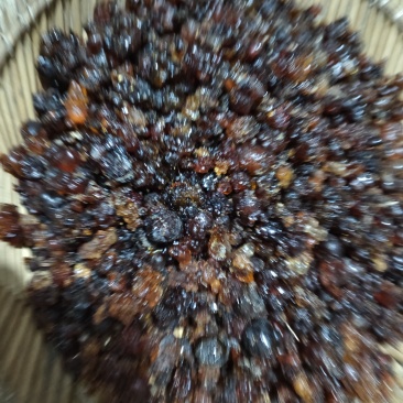 山东临沂本地桃胶
