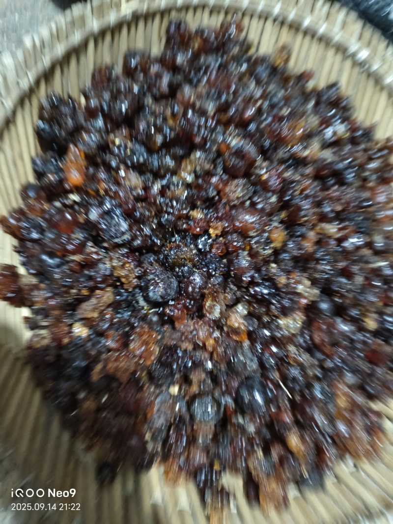 山东临沂本地桃胶