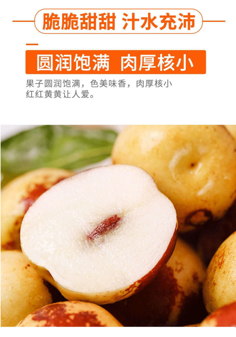 山东沾化下洼嘎嘣脆薄皮脆甜现摘冬枣(自家枣园)
