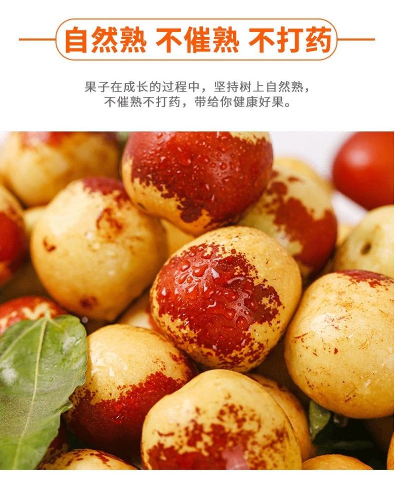 山东沾化下洼嘎嘣脆薄皮脆甜现摘冬枣(自家枣园)