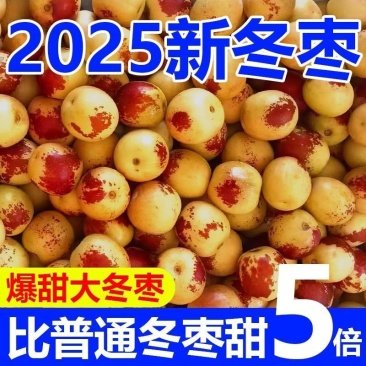 山东沾化下洼嘎嘣脆薄皮脆甜现摘冬枣(自家枣园)