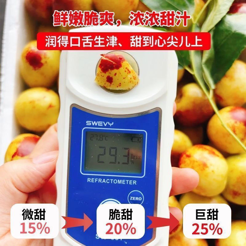 山东沾化下洼嘎嘣脆薄皮脆甜现摘冬枣(自家枣园)