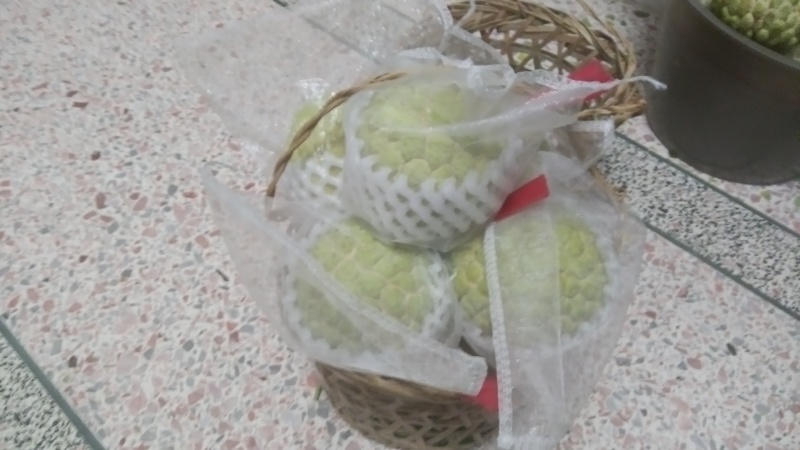 广东林擒