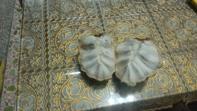 广东林擒