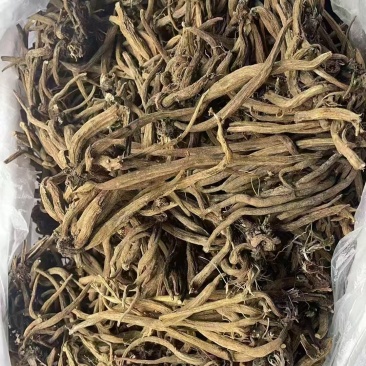 大蓟根（贵州，纯野生）