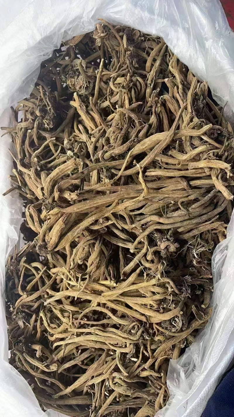 大蓟根（贵州，纯野生）