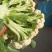 青梗菜花
