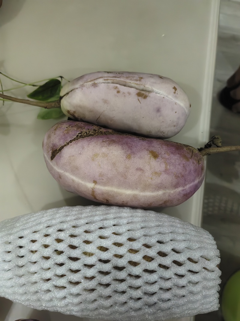 纯野生的绿色食品！150克起步！