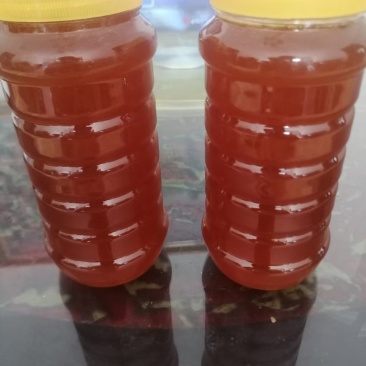土蜂蜜