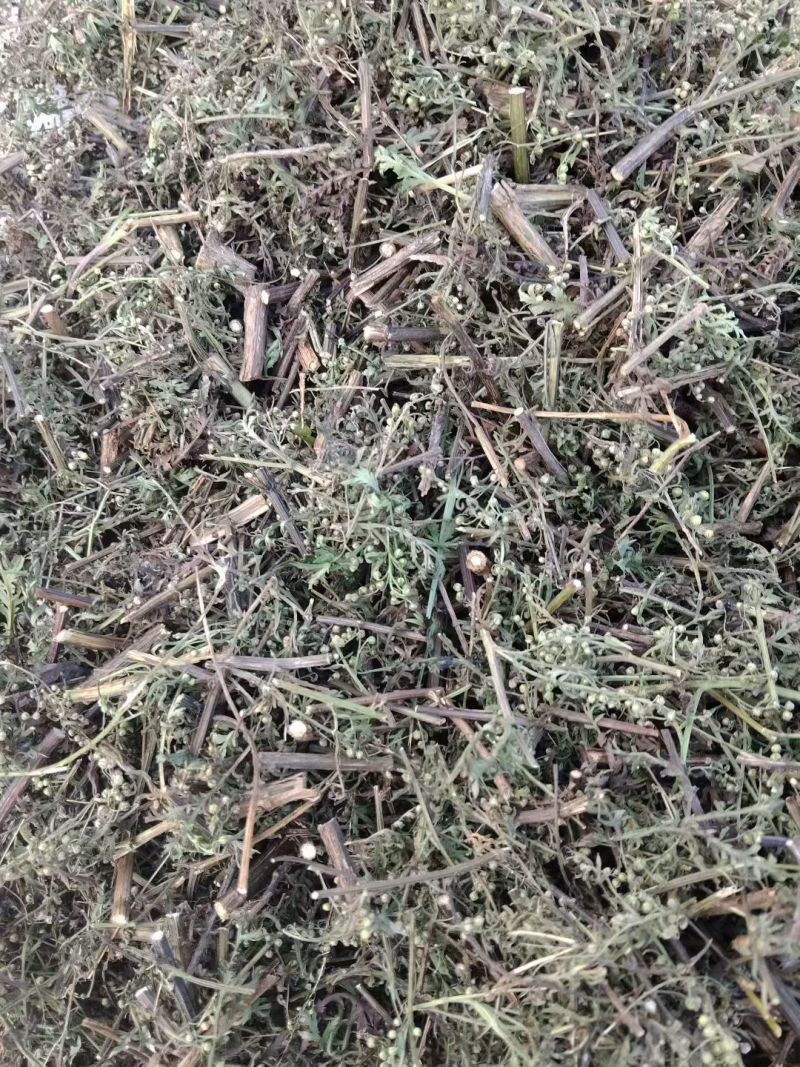 颜色好，二至三公分小段