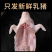 乳猪