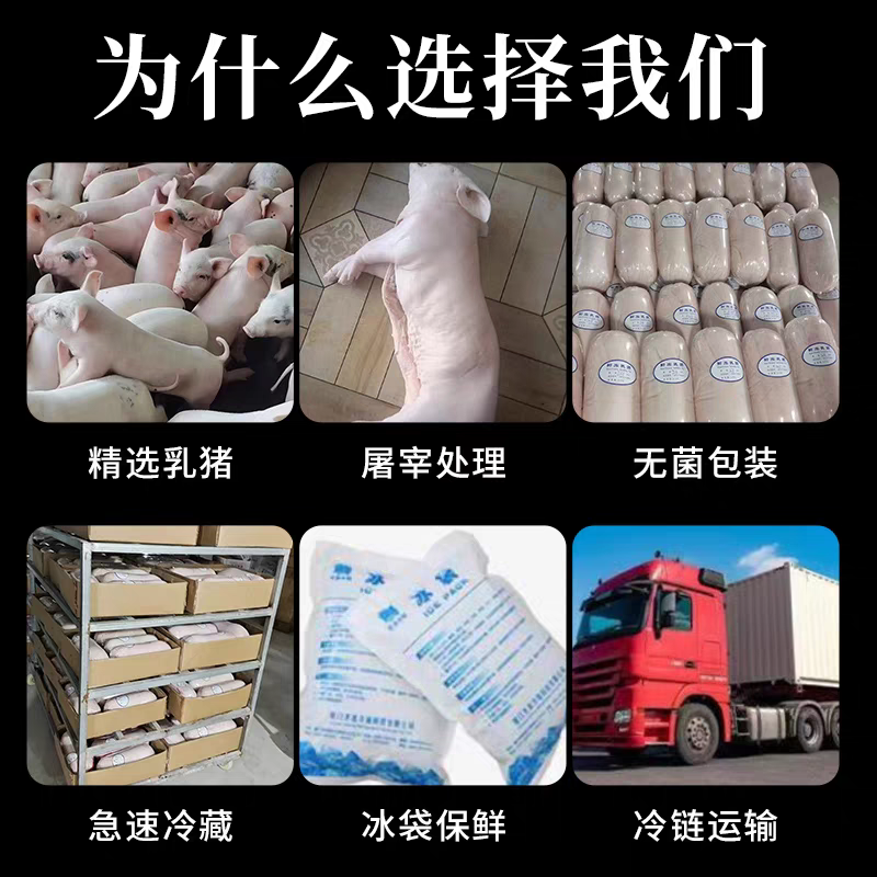 乳猪
