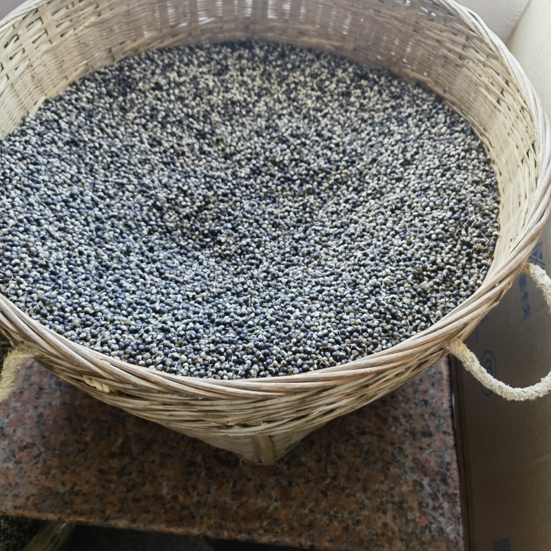 蔓荆子