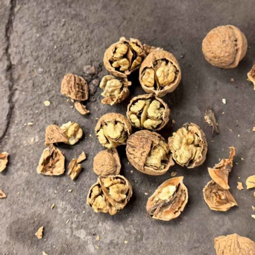 云南干核桃大量上市电商货也大量供应
