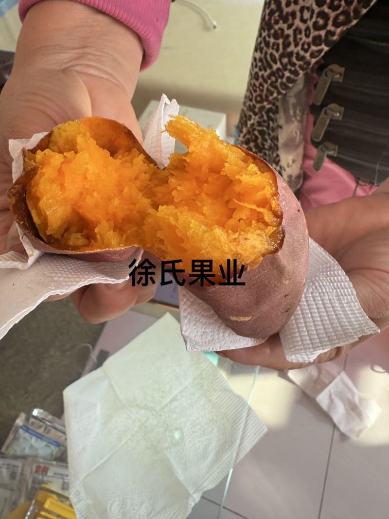 烟薯25吉林省长岭县玛莎莉西瓜红都有货