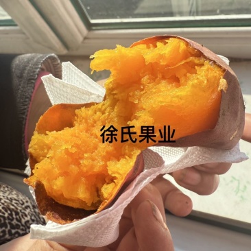 烟薯25吉林省长岭县玛莎莉西瓜红都有货