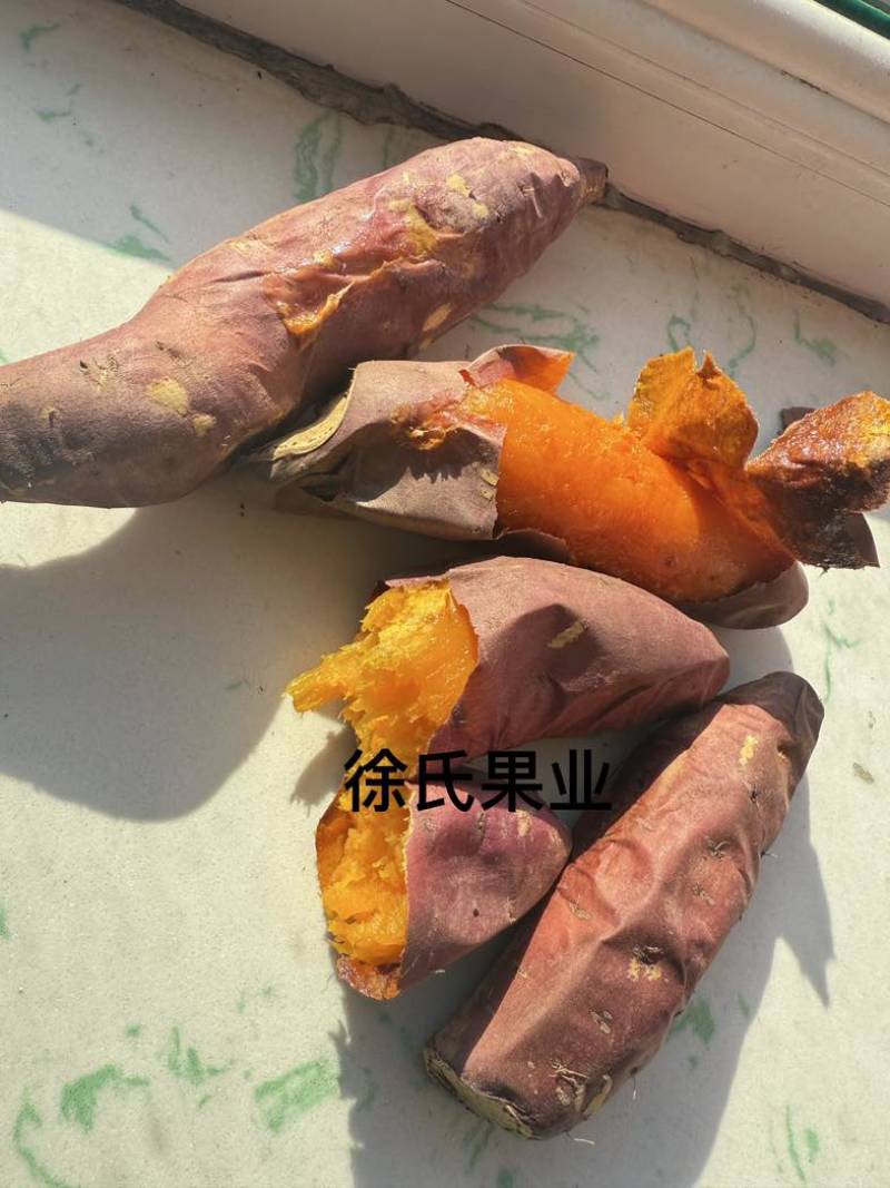 烟薯25吉林省长岭县玛莎莉西瓜红都有货