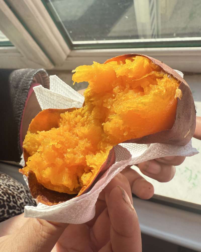 烟薯25玛莎莉西瓜红吉林省长岭县
