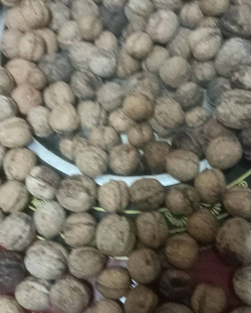 陕西商洛核桃
