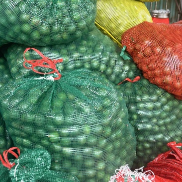 澳洲坚果🌰
