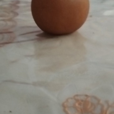 秋月梨