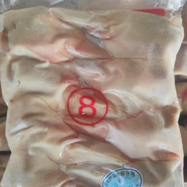一级8头