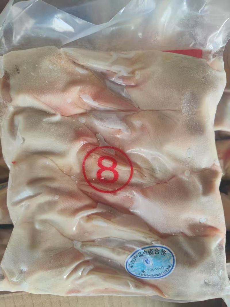 一级8头