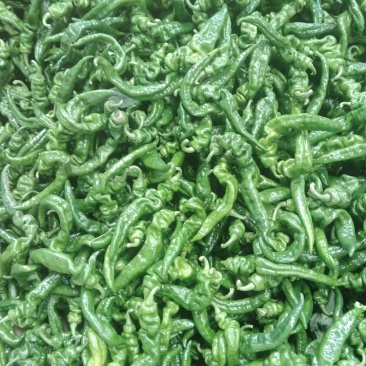 大荔县鲜辣椒，螺丝，线椒大量上市