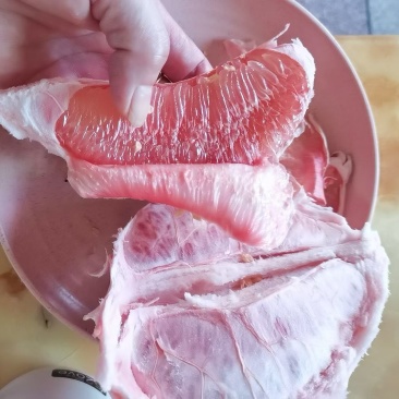 柚子