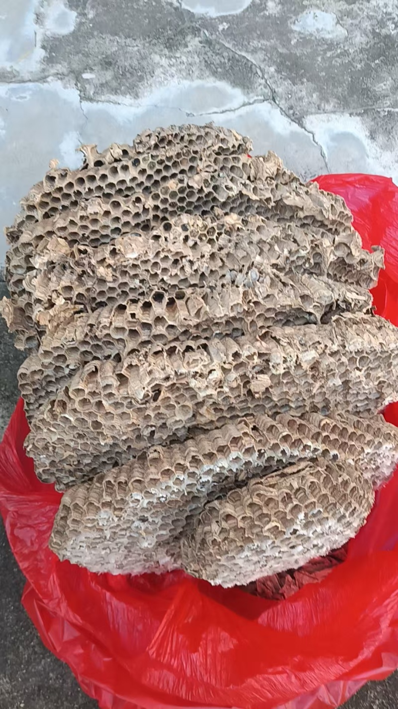 土马蜂窝