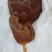 鸡宝