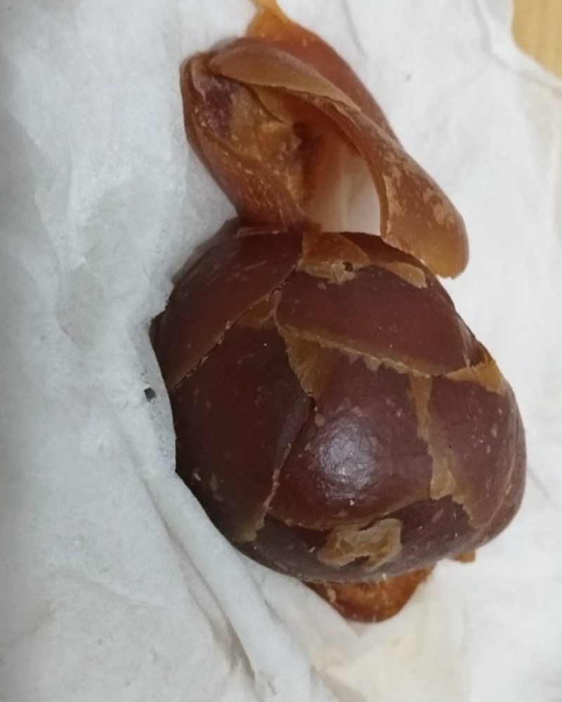 鸡宝