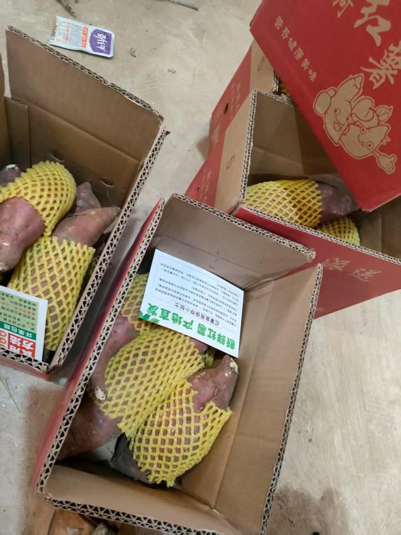 红薯
