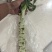 青笋莴笋