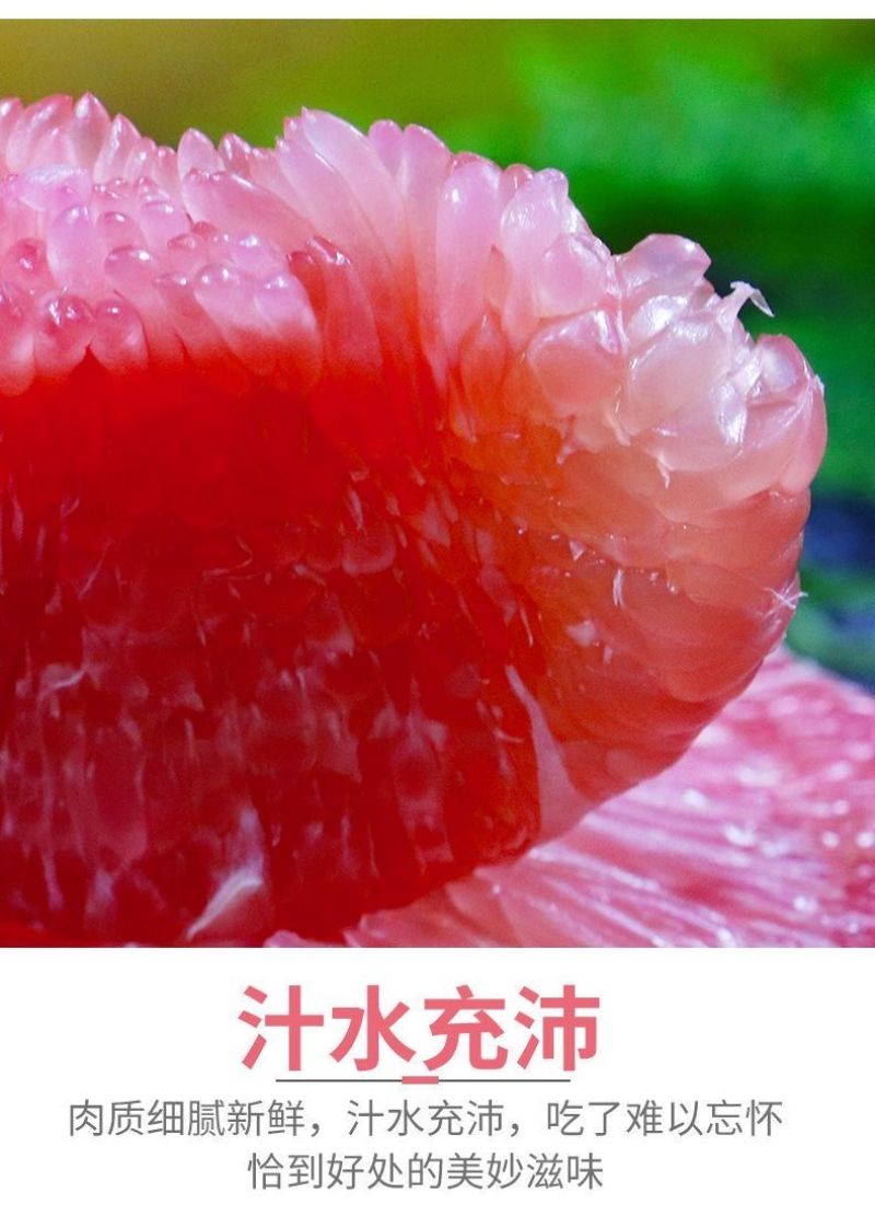 福建平和琯溪红心柚