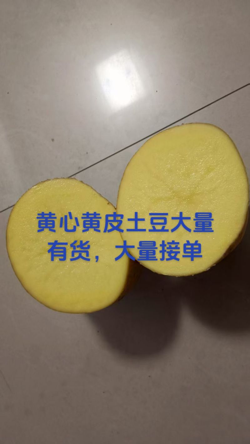 需要土豆的老板联系我。电话*************同号