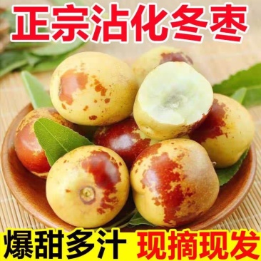 沾化冬枣