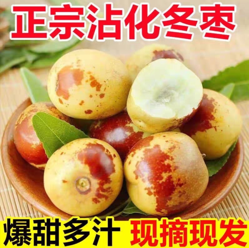 沾化冬枣