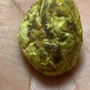鸡宝一个